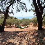 Family Friendly Seaside Cove Torac, Hvar - 2071