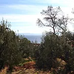 Family Friendly Seaside Cove Torac, Hvar - 2071 דירה *