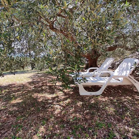 Family Friendly Seaside Cove Torac, Hvar - 2071 Gdinj